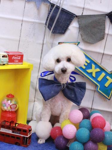 20230419ベラちゃん